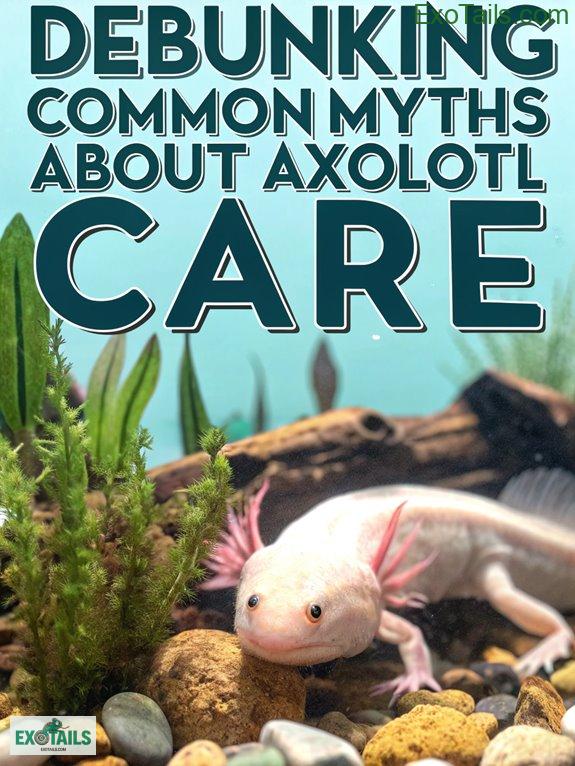Learning About My Axolotl Life Cycle Stages - exotails.com