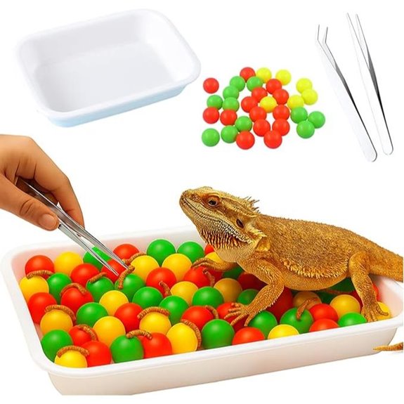 bearded dragon foraging kit