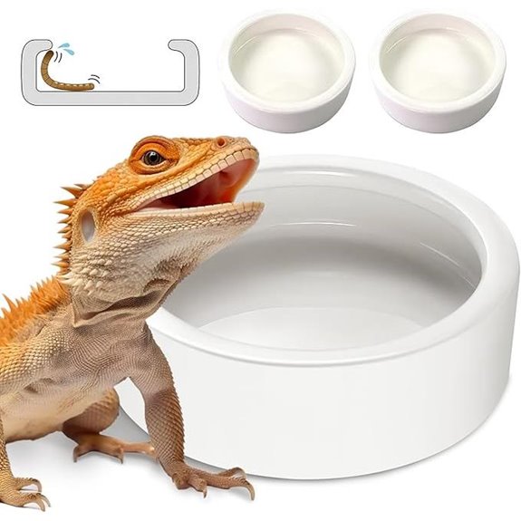 ceramic reptile food bowls