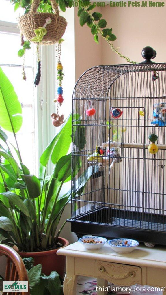 chic bird accessories trend