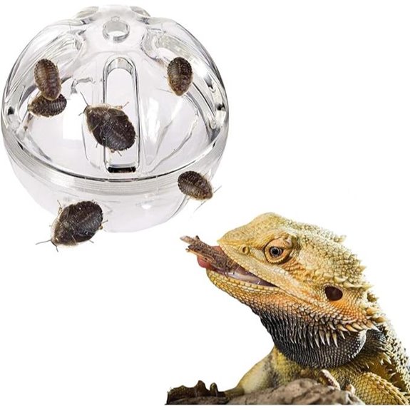 enrichment toy for dragons