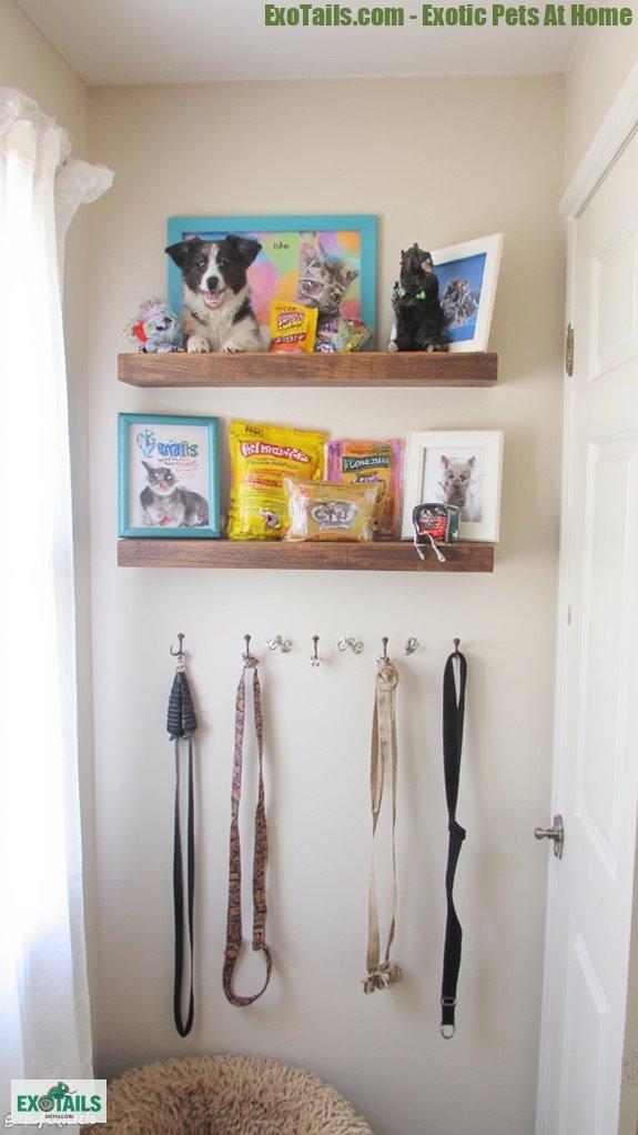 functional pet decor ideas