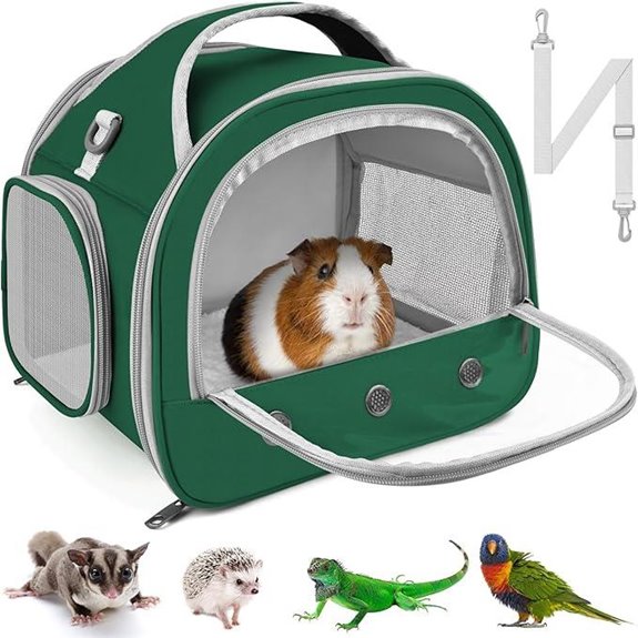 Bissap Bearded Dragon Travel Carrier Bag Green