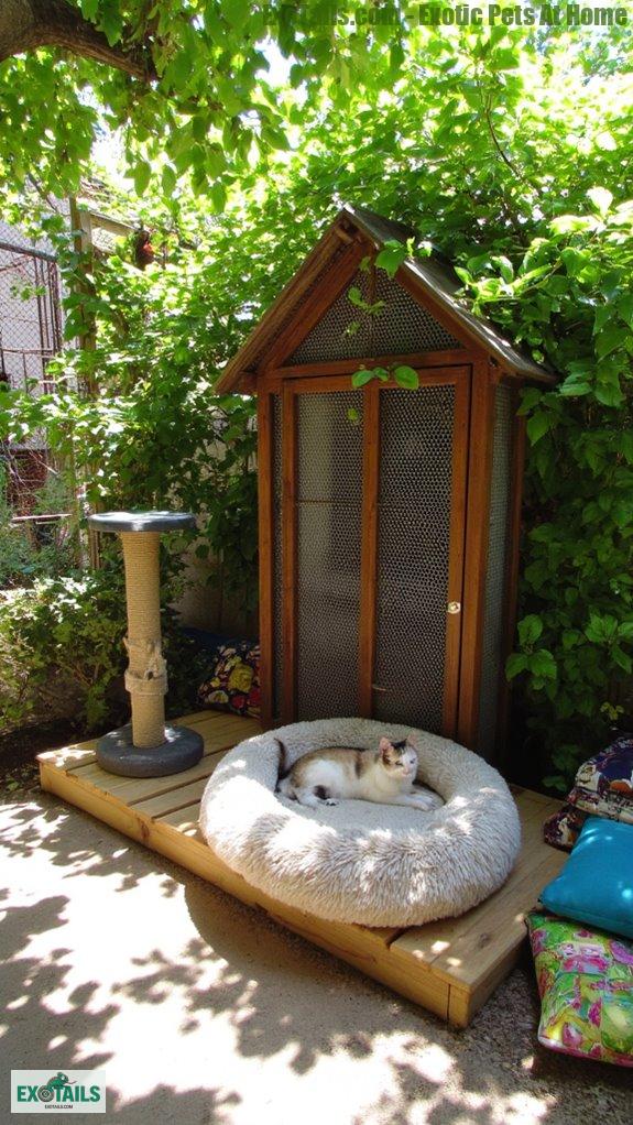 ideal cat paradise location