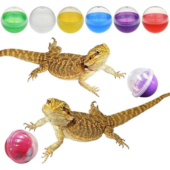 interactive feeding toys for dragons