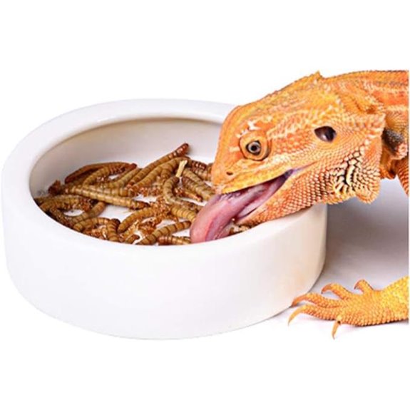 Ceramics Reptile Food Water Bowl Anti-Escape (Large)