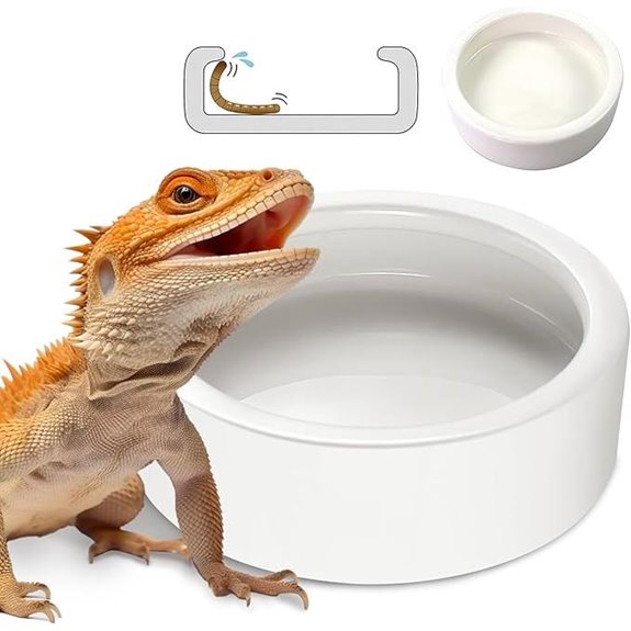 large ceramic reptile feeder