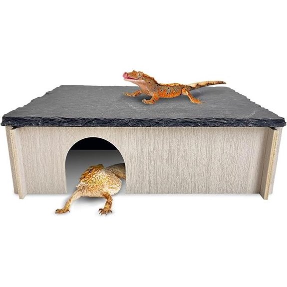 PINVNBY Dragon Basking Platform & Tank Accessories (L)