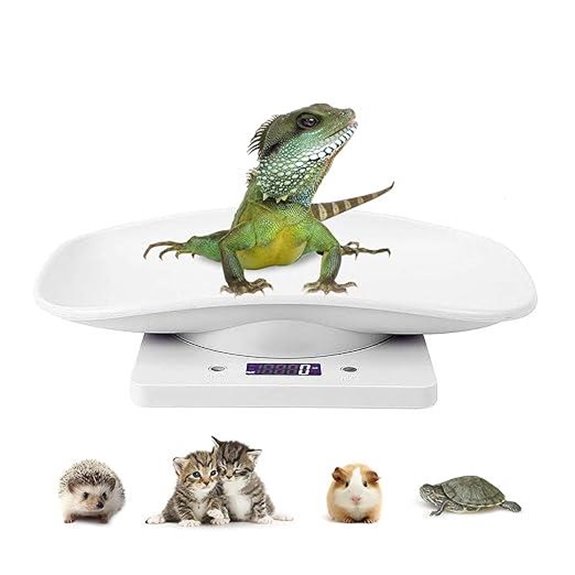 Digital Pet Scale: Mini Precision Weighing Scale for Pets