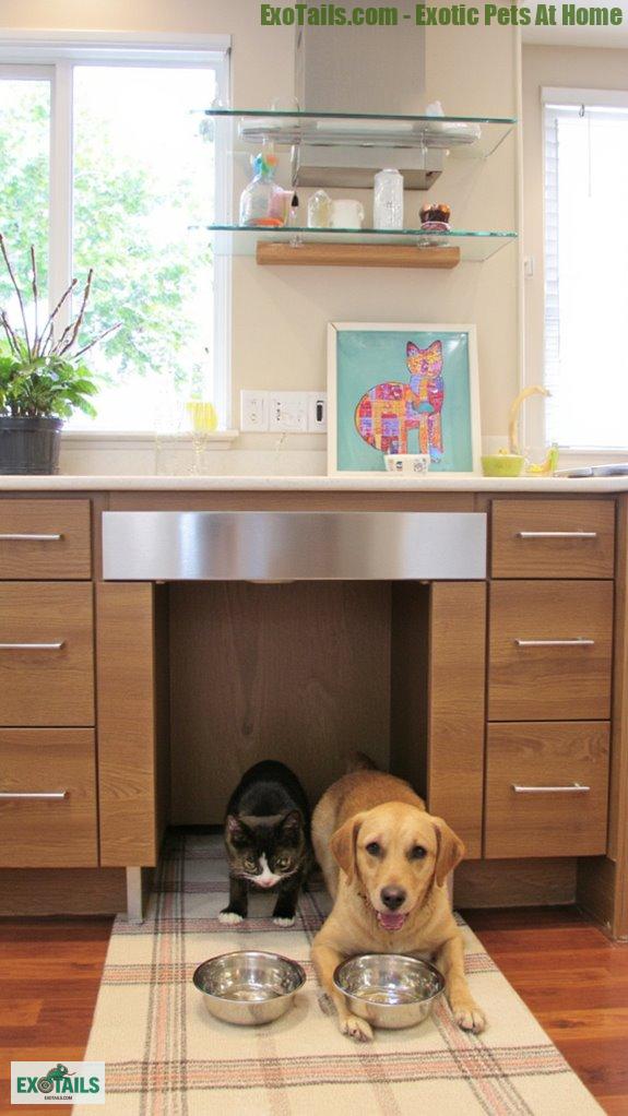 pet friendly room transformations