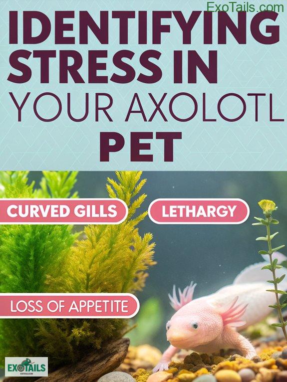10 Best Axolotl Anatomy Features Explained - exotails.com