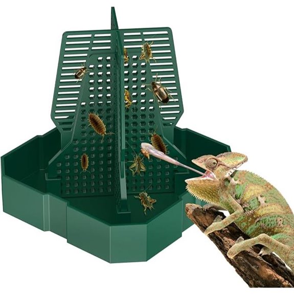reptile feeding box solution