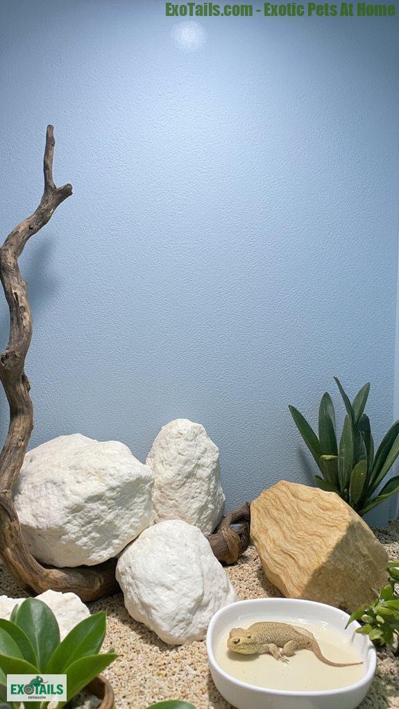 serene reptile enclosure colors