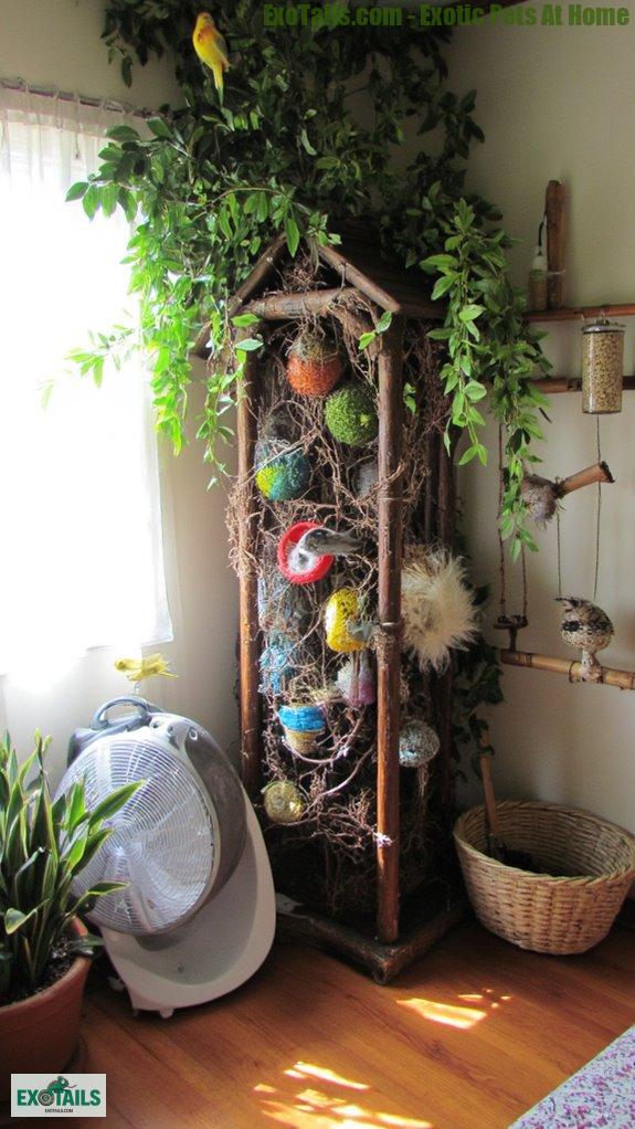 shelter climate space nourishment