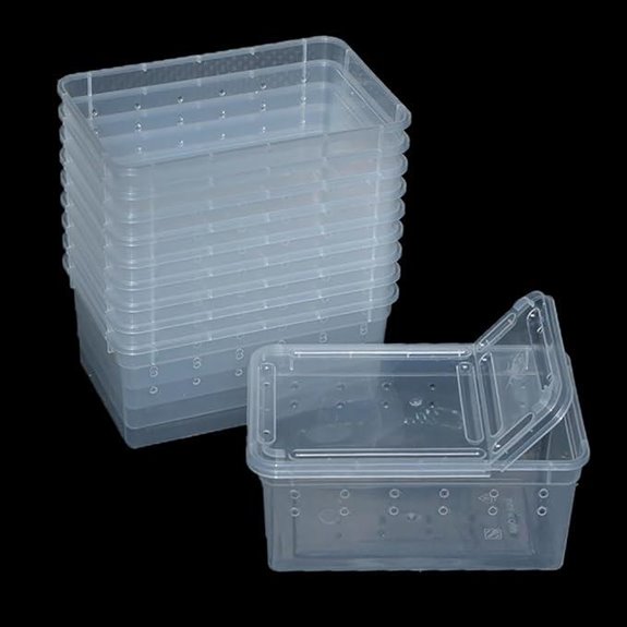 10 Pcs Reptile Feeding Boxes Small Insect Containers