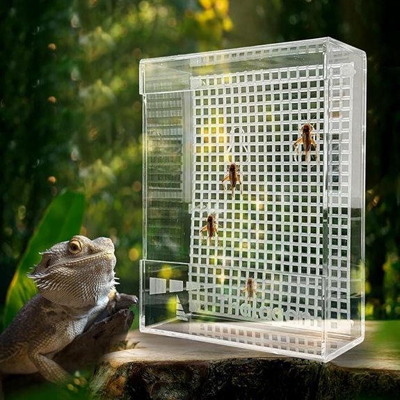 suction cup mounted feeder