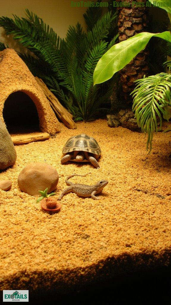 sustainable biodegradable pet substrates