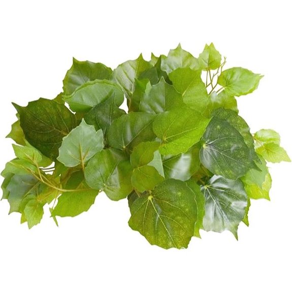 Pothos Plant - 60in