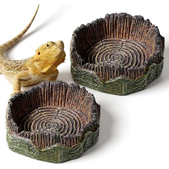 Small Reptile Food Dishes for Terrarium (2 PCS)
