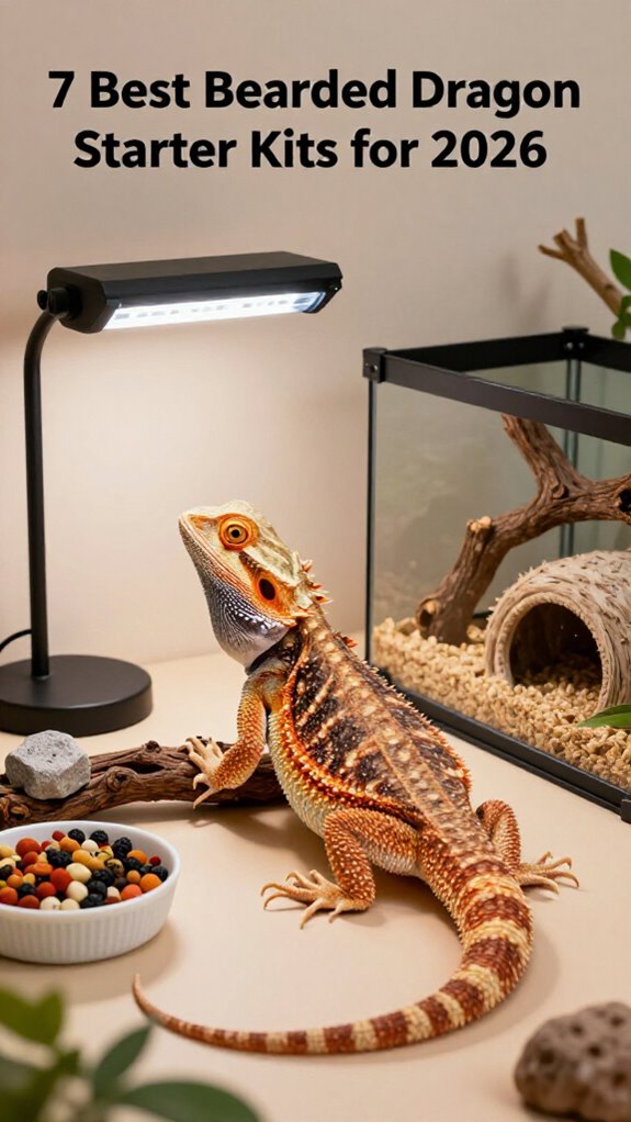 top bearded dragon kits