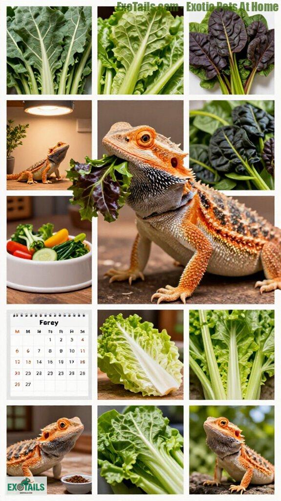 top vegetables for dragons