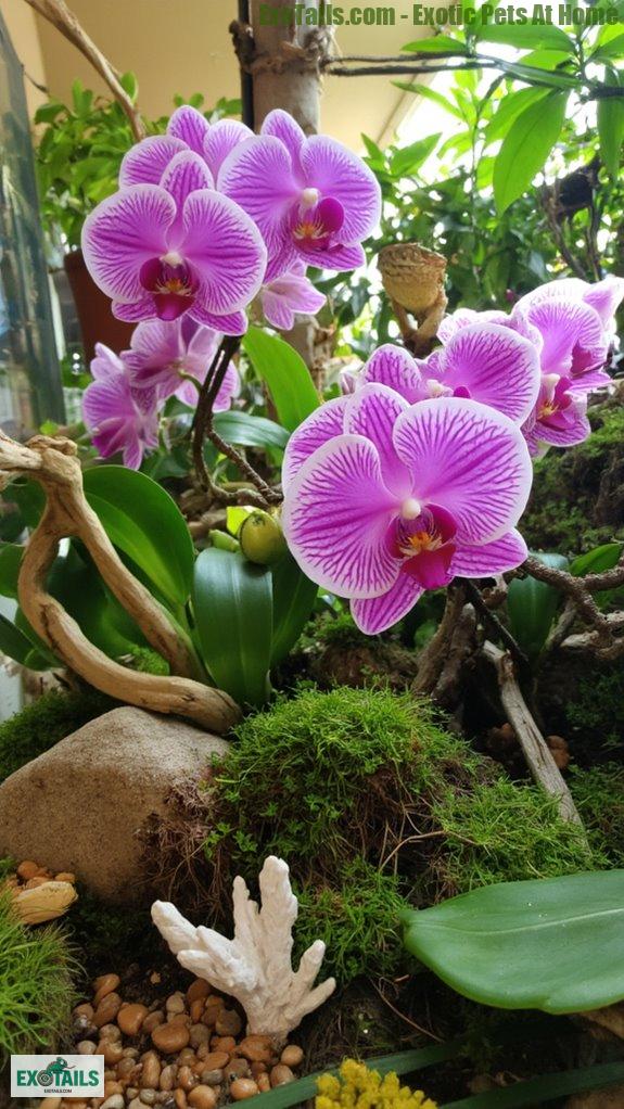 tropical orchid terrarium decor