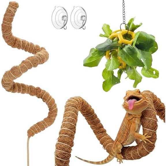 Bearded Dragon Bridge with Veggie Feeder Ball