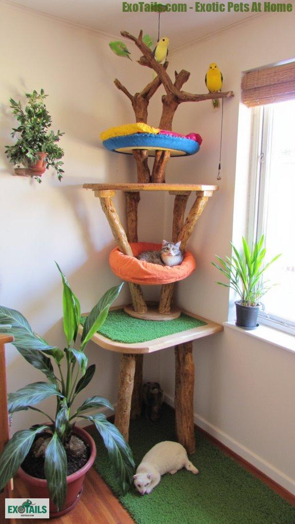 vertical climbing preferences considered